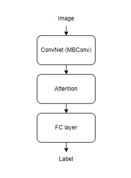 CoAtNet - Kết hợp Convolution và Attention cho tất cả các kích thước dữ liệu